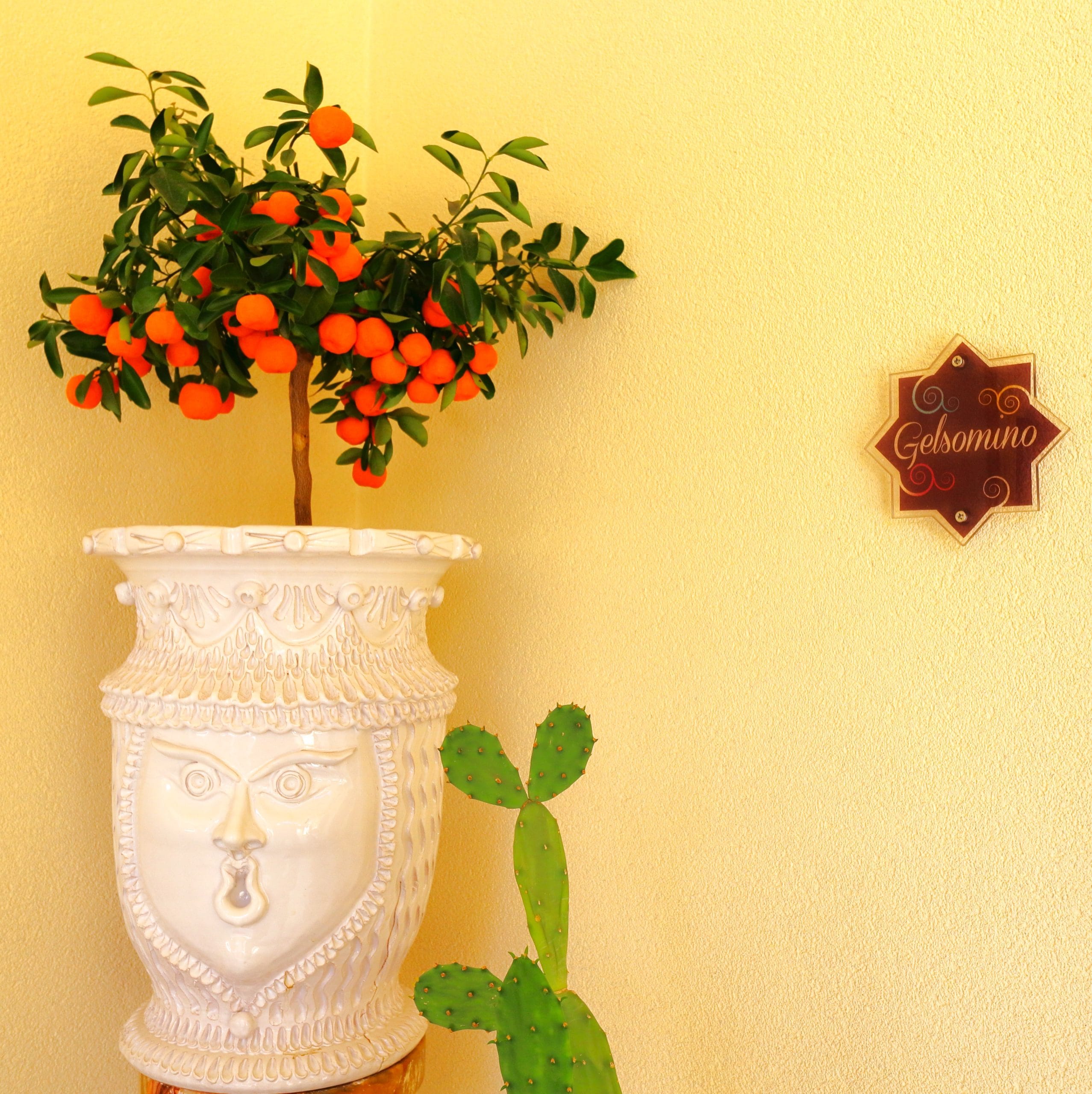 exteriors riad comfort rooms san vito lo capo 5 exteriors riad comfort rooms san vito lo capo 5