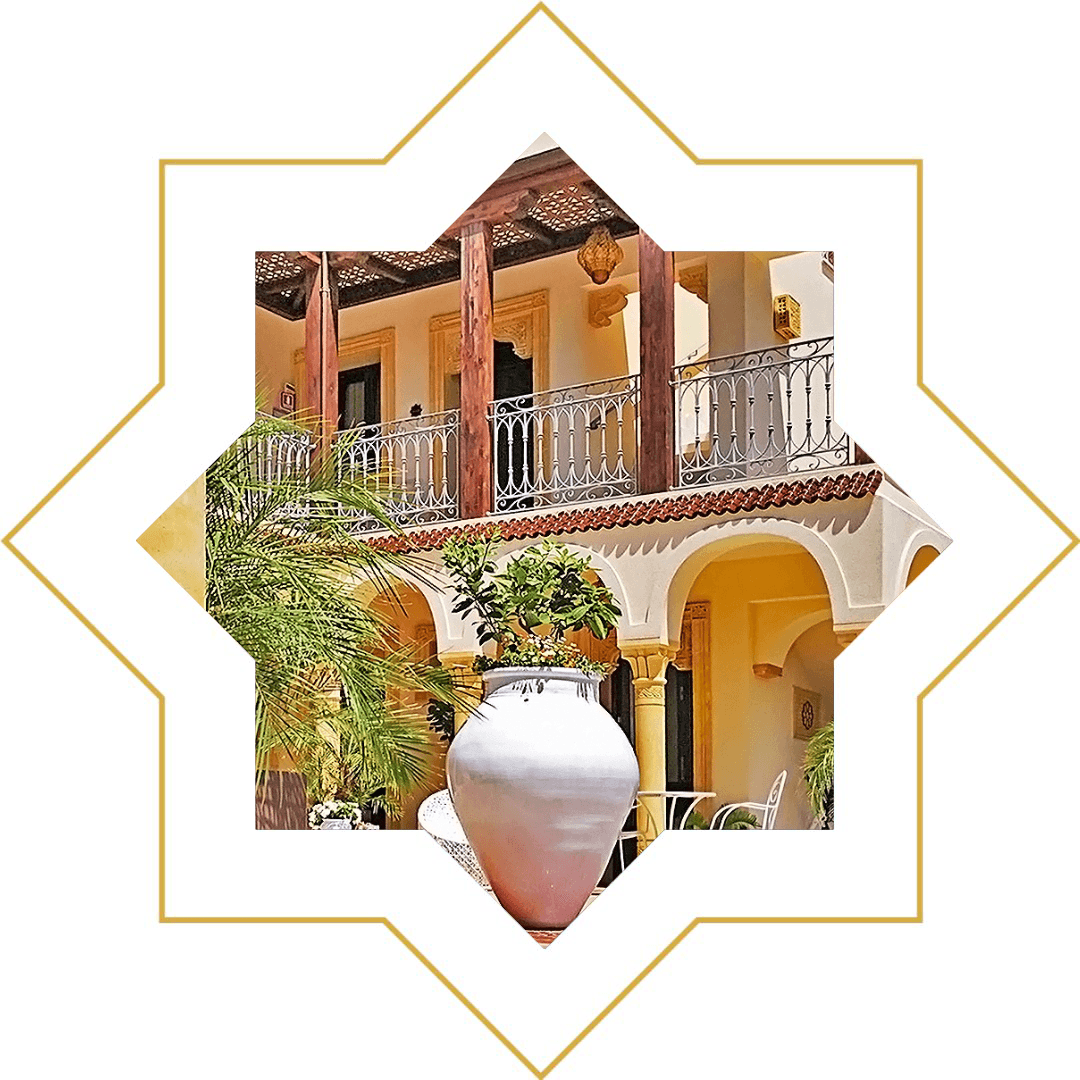 etoile 8 branches plante verte centre patio san vito lo capo riad comfort rooms etoile 8 branches plante verte centre patio san vito lo capo riad comfort rooms