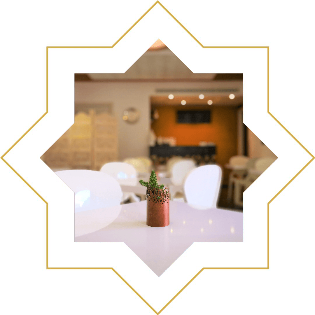 etoile 8 branches plante verte table blanche san vito lo capo riad comfort rooms etoile 8 branches plante verte table blanche san vito lo capo riad comfort rooms