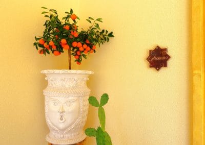 vaso mandarini sicilia camera esterna gelsomino riad comfort rooms san vito lo capo